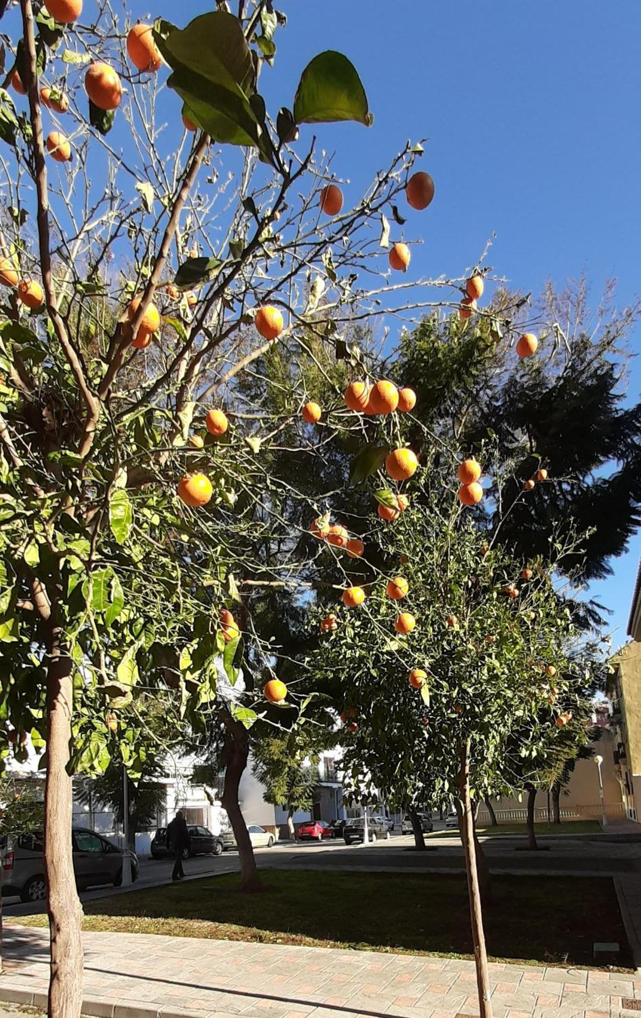 Apartment Las Salinas Boliches フエンヒロラ エクステリア 写真